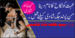 Read more about the article Muhabbat ki Shadi
